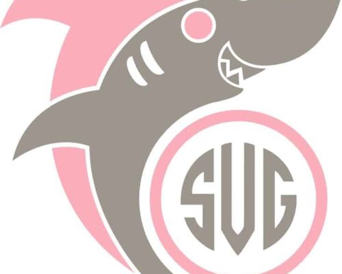 Familia de Tiburones: Tipos y Características