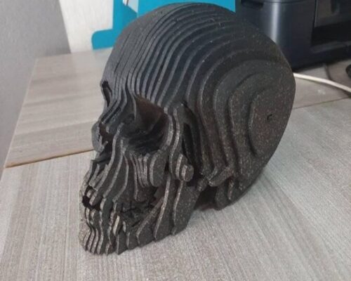 Cráneo Humano 3D: Modelo Detallado y Realista