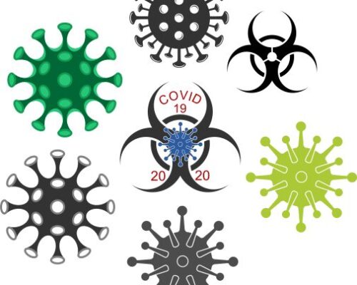Imágenes del coronavirus: fotos y visualizaciones informativas