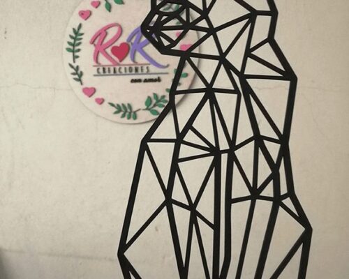 Gato sentado en casa: adorables momentos de descanso