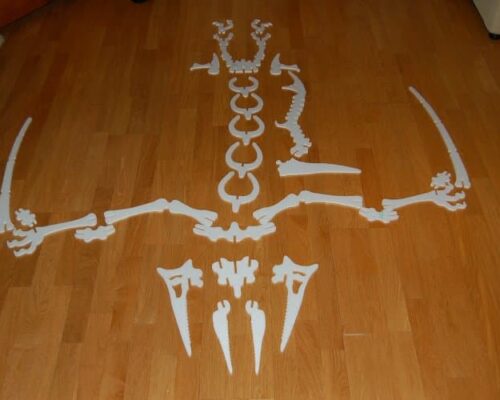 Esqueleto del Pteranodon: Características y Curiosidades