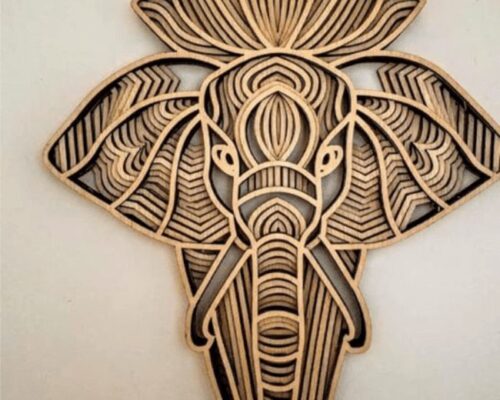 Elefante de Frente: Imágenes y Características