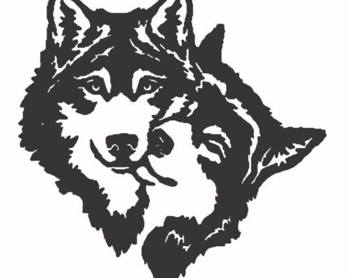 Expresiones Faciales de los Perros