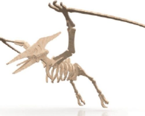 Esqueleto Completo de Pterodáctilo: Características y Curiosidades